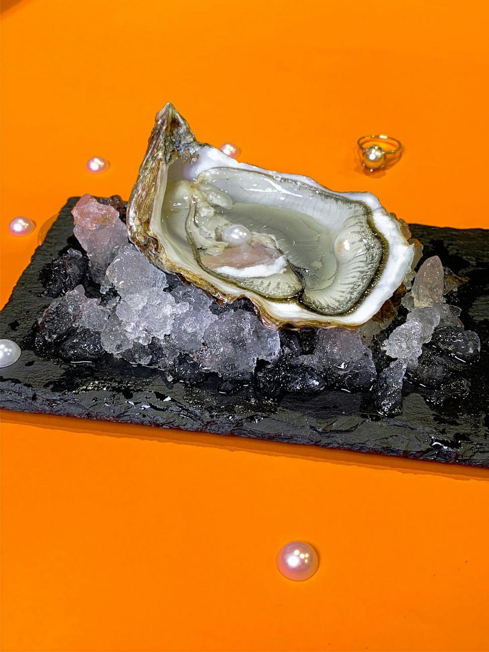 Oysters