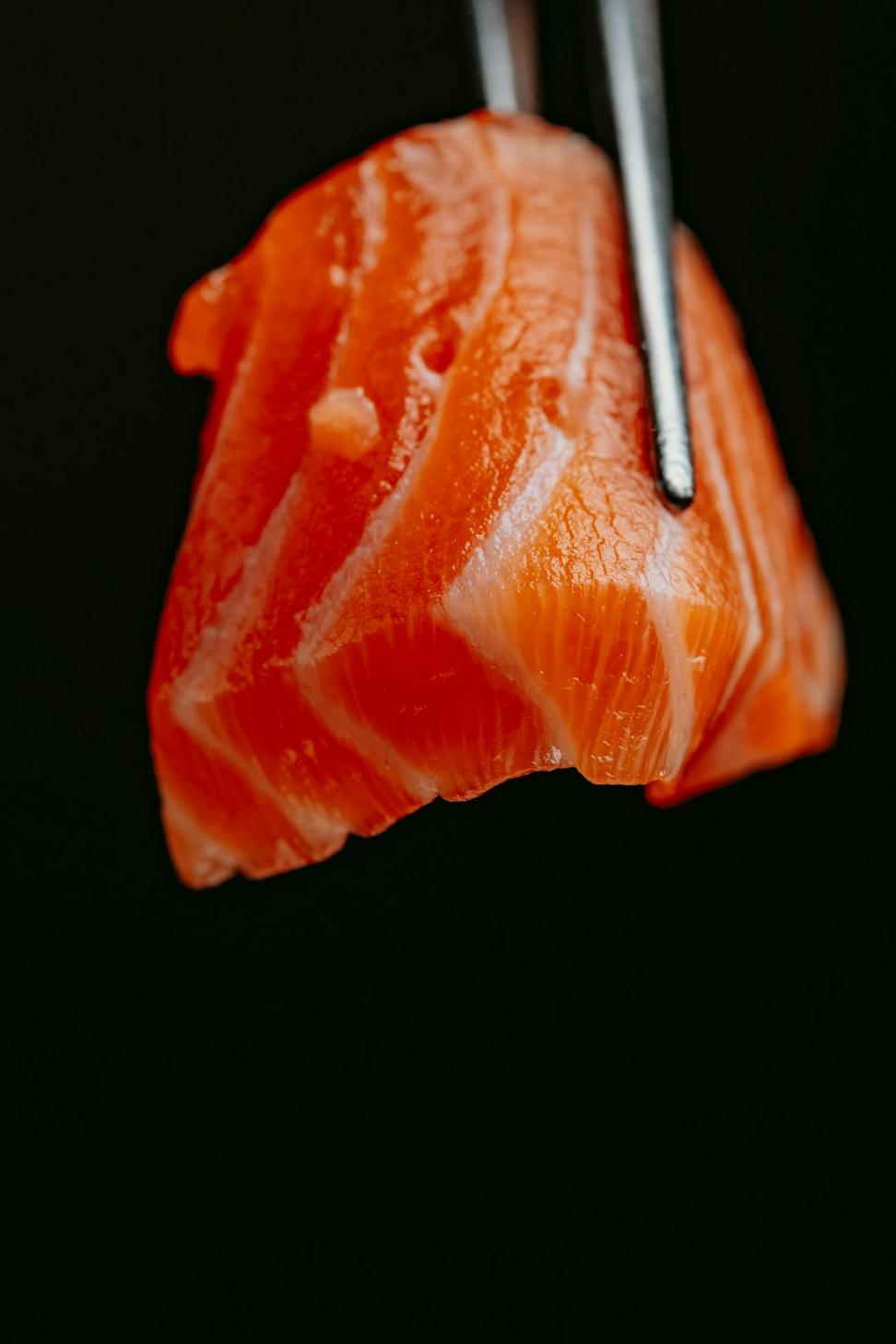 Wild Salmon